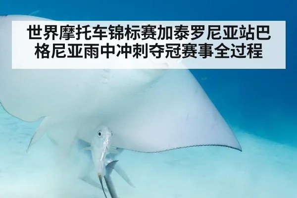 世界摩托车锦标赛加泰罗尼亚站巴格尼亚雨中冲刺夺冠赛事全过程