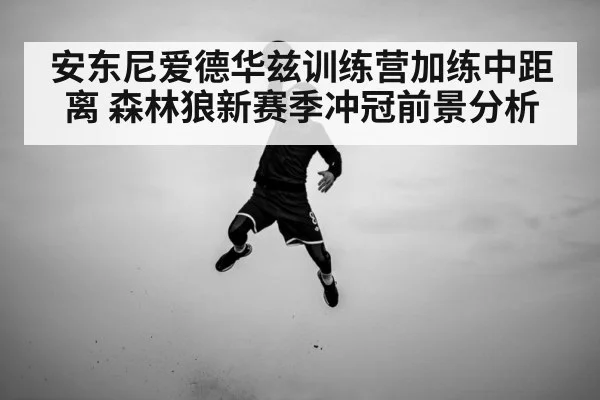 安东尼爱德华兹训练营加练中距离 森林狼新赛季冲冠前景分析